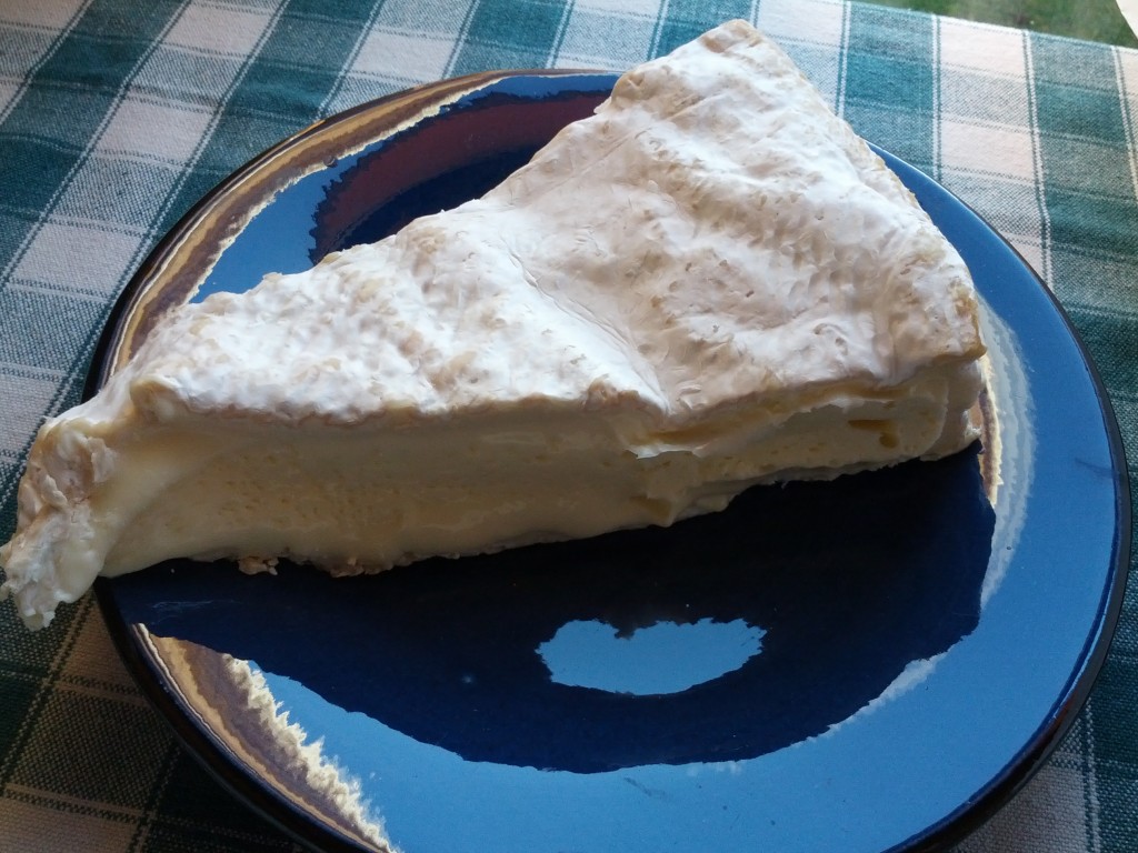 Trozo queso Brie